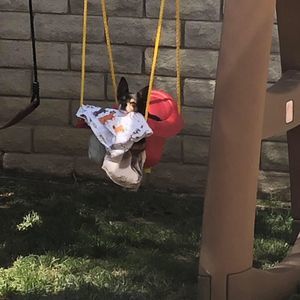 Meet your Posher, Delany